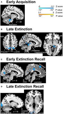 Changes in fear-associated learning task brain activation over the COVID-19 pandemic period: a preliminary longitudinal analysis